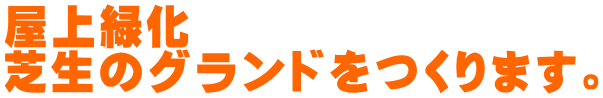 屋上緑化 芝生のグランドをつくります。