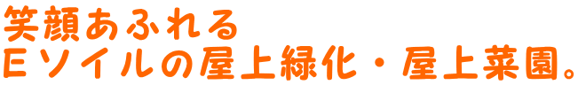 笑顔あふれる Ｅソイルの屋上緑化・屋上菜園。